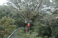  2007-12-10 14.32.13.JPG 